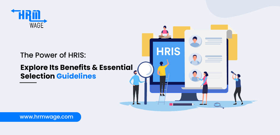 The Power of HRIS Explore Its Benefits And Essential Selection Guidelines-100